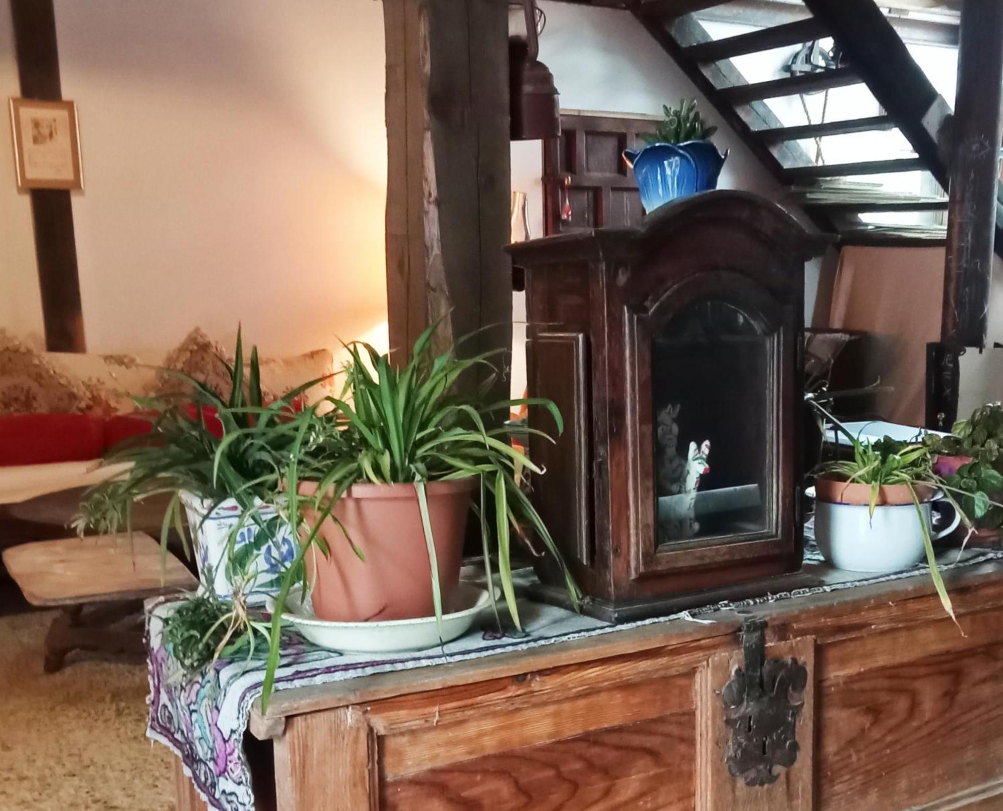Suite En Cuadra Pajar, Casa Rural Hoz de Jaca Екстер'єр фото